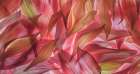 USA, Washington State, Seabeck. Panoramic of dahlia petals. Art Print